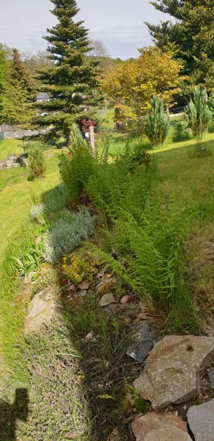 Oppach Bungalow Hugo מראה חיצוני תמונה